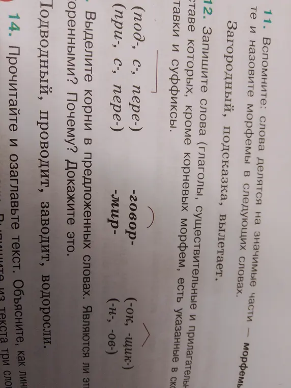 Выдели корни в словах 'Подводный, проводит, заводит, водоросли'. Являются ли эти слова однокоренными? Почему?