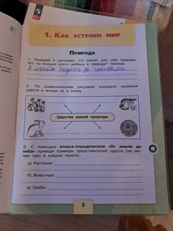 Определи названия царств по символическим рисункам и приведи примеры представителей царств.