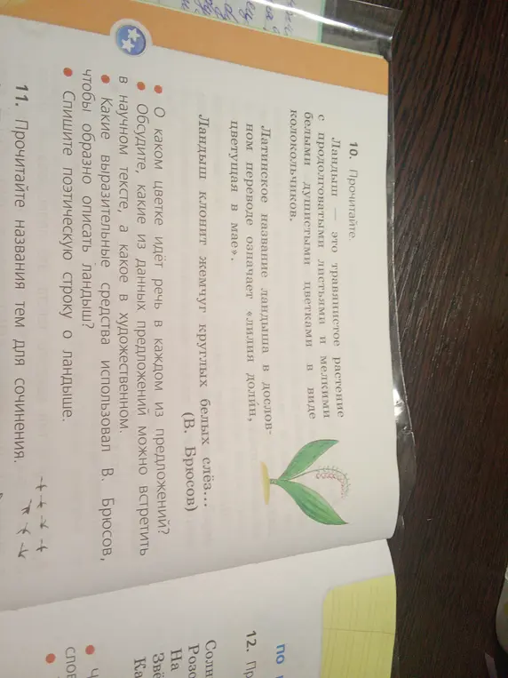 Обсуди, о каком цветке идёт речь в каждом из предложений