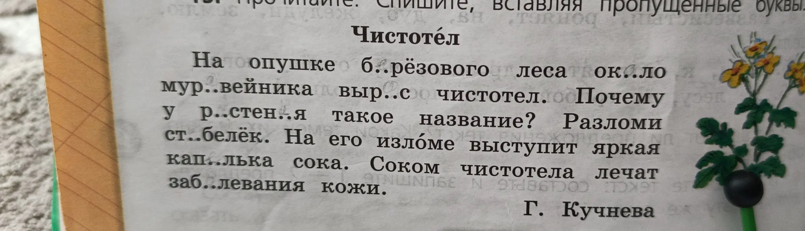 Вставь пропущенные буквы в слова текста про чистотел