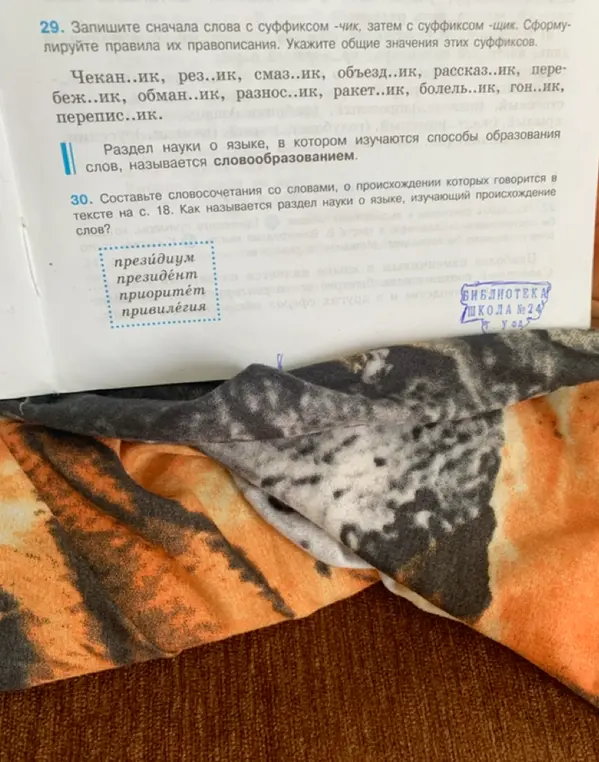Помоги записать слова с суффиксами -чик и -щик, сформулировать правила их правописания и составить словосочетания со словами президиум, президент и т.д.