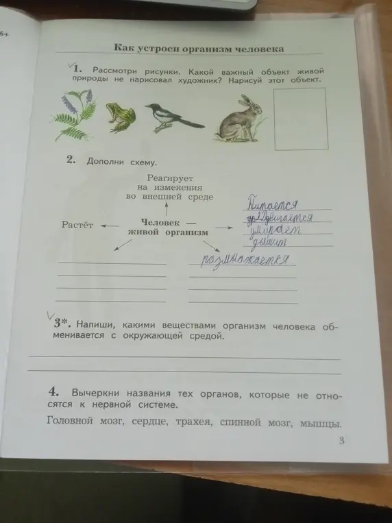 Рассмотри рисунки и скажи, какой важный объект живой природы не нарисовал художник