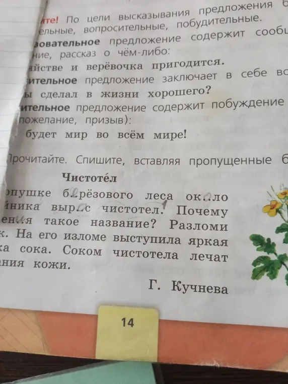 Выполни задание: Спиши текст про чистотел, вставляя пропущенные буквы.