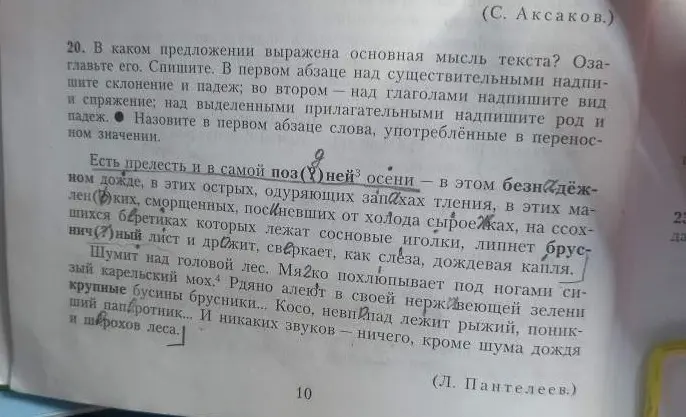 В каком предложении выражена основная мысль текста?