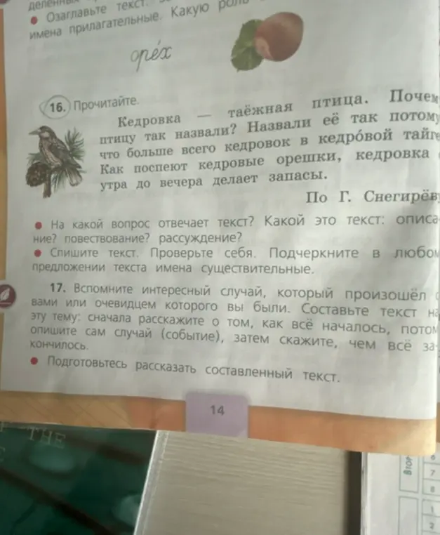 Ответь на вопрос: на какой вопрос отвечает текст о кедровке? и подчеркни имена существительные в любом предложении текста