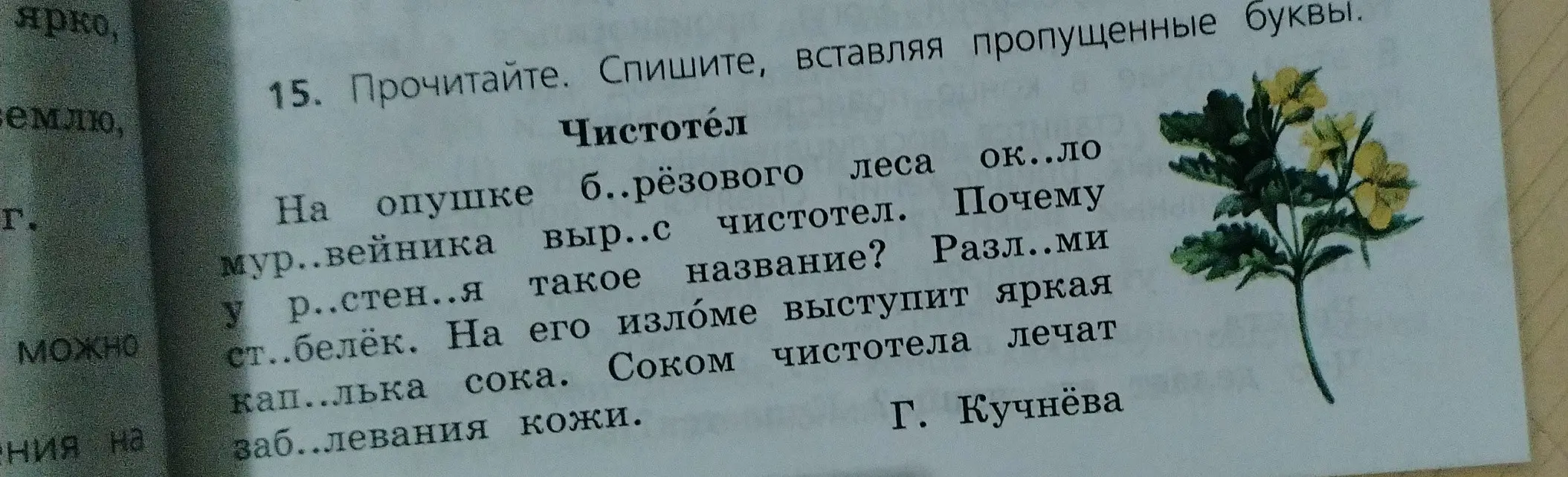 Ты просишь вставить пропущенные буквы в тексте про чистотел