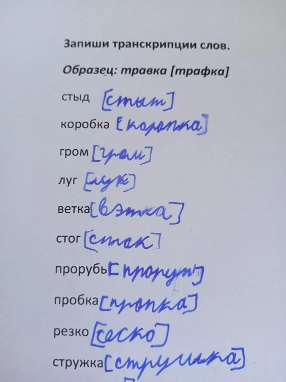 Запиши транскрипции слов: стыд, коробка, гром, луг, ветка, стог, прорубь, пробка, резко, стружка