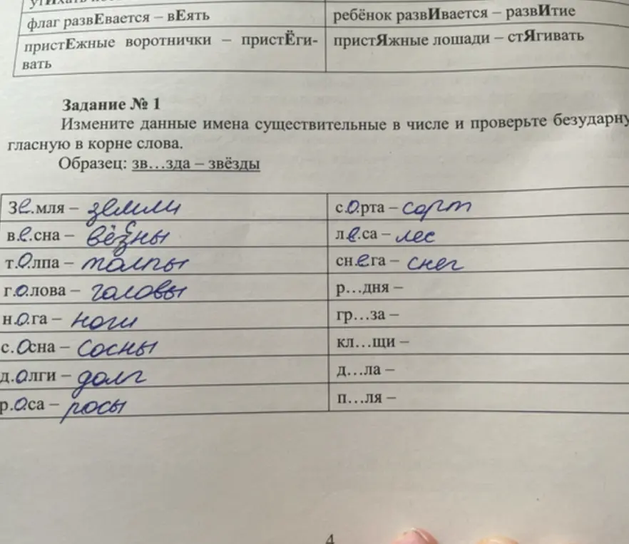 Помоги изменить данные имена существительные в числе и проверить безударную гласную в корне слова: р...дня