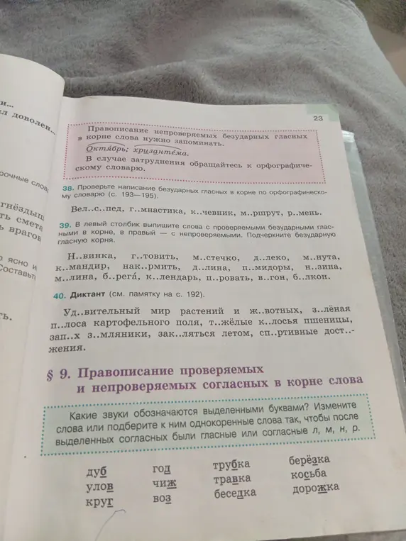 Выполни задание 39, 40 и задание на правописание проверяемых согласных в корне слова
