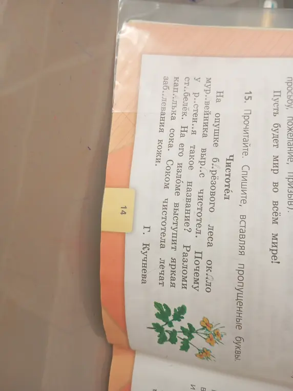 Прочитай, спиши, вставляя пропущенные буквы в тексте про чистотел.