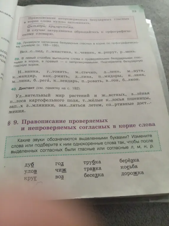 Какие звуки обозначаются выделенными буквами в упражнении про правописание проверяемых и непроверяемых согласных в корне слова?