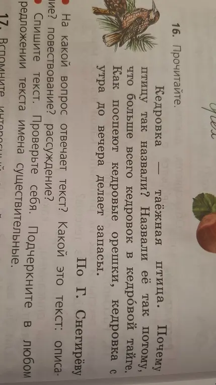 На какой вопрос отвечает текст про кедровку и какой это тип текста?