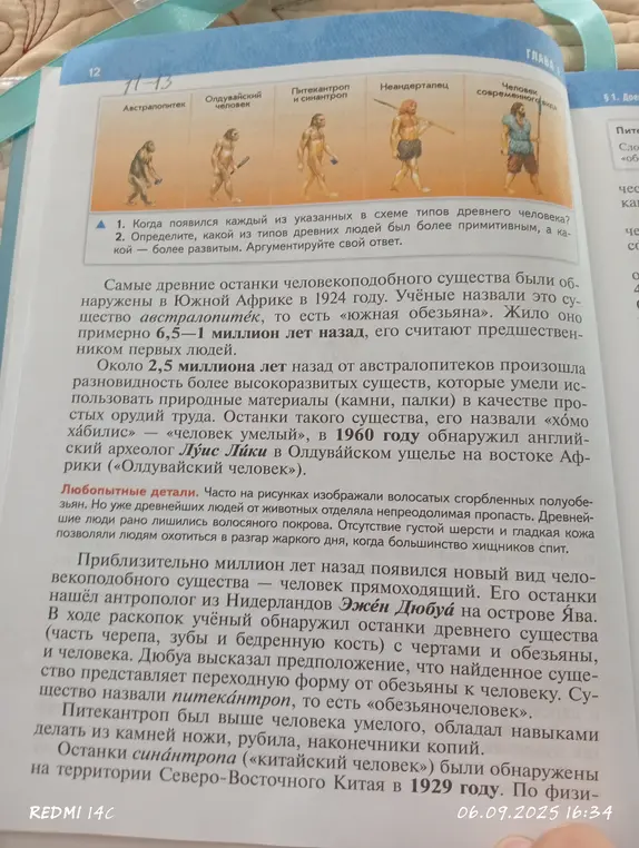 Помоги сократить параграф текста про основные этапы развития человека