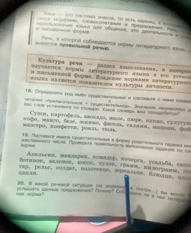 Помоги мне определить род имён существительных и составить с ними словосочетания «прилагательное + существительное», а также поставить имена существительные в форму родительного падежа множественного числа.