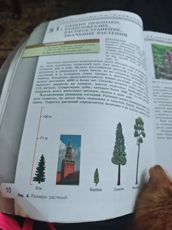 По каким признакам растения отличаются от других организмов?