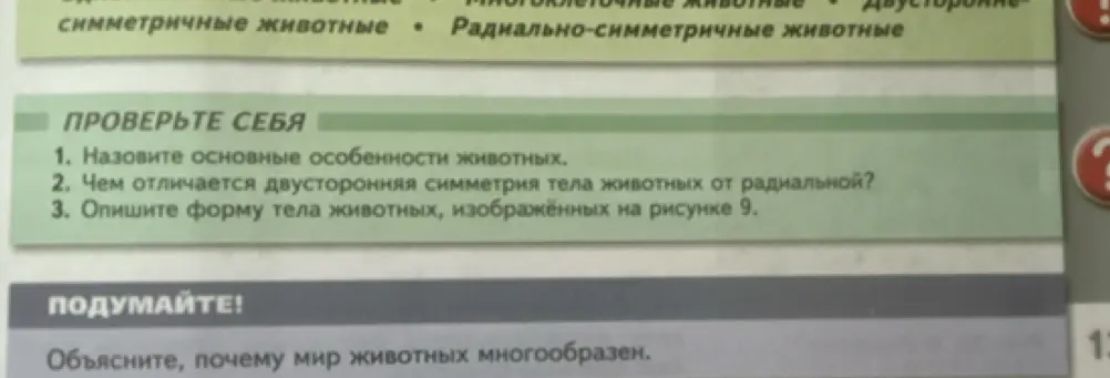 Назови основные особенности животных.