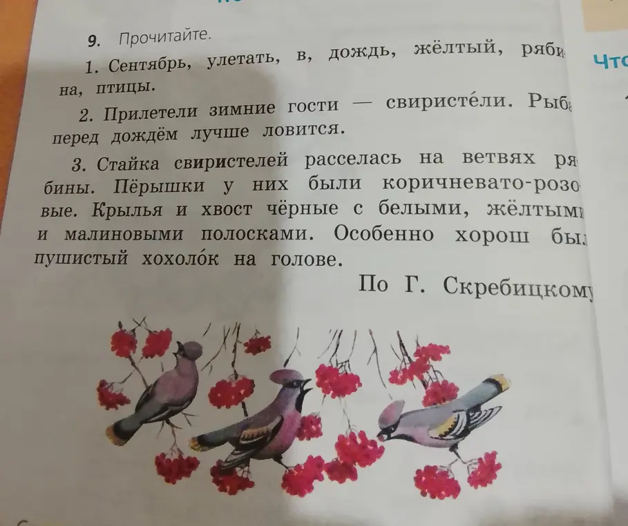 Прочитай текст