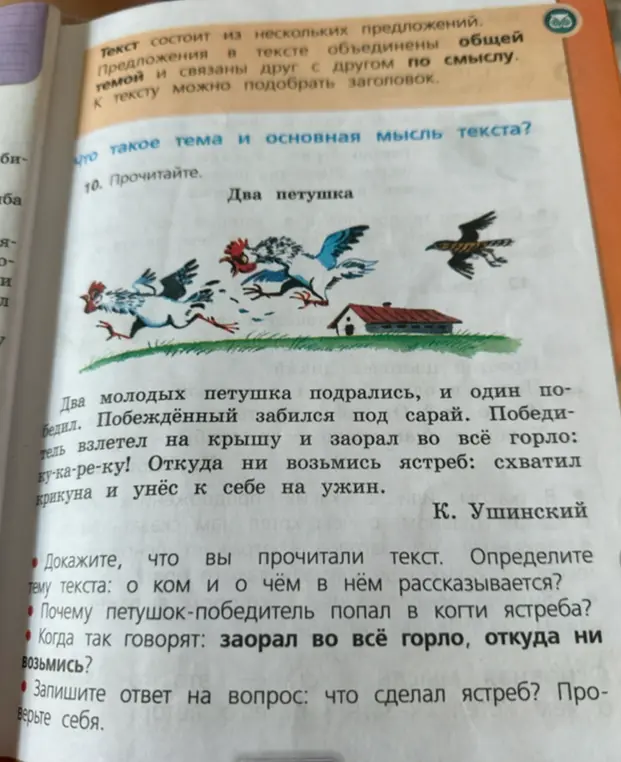 Определи тему текста: о ком и о чём в нём рассказывается?