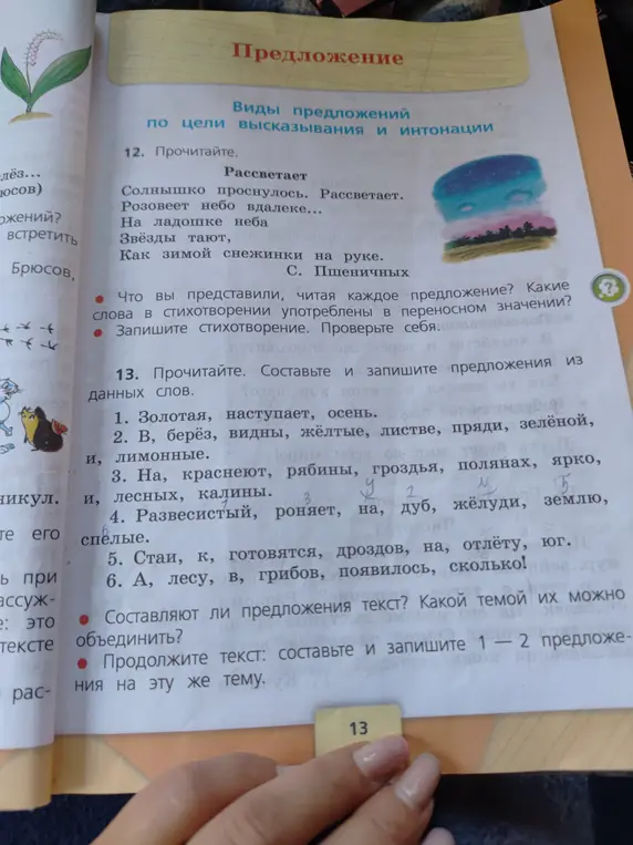 Ты просишь составить и записать предложения из данных слов в упражнении 13
