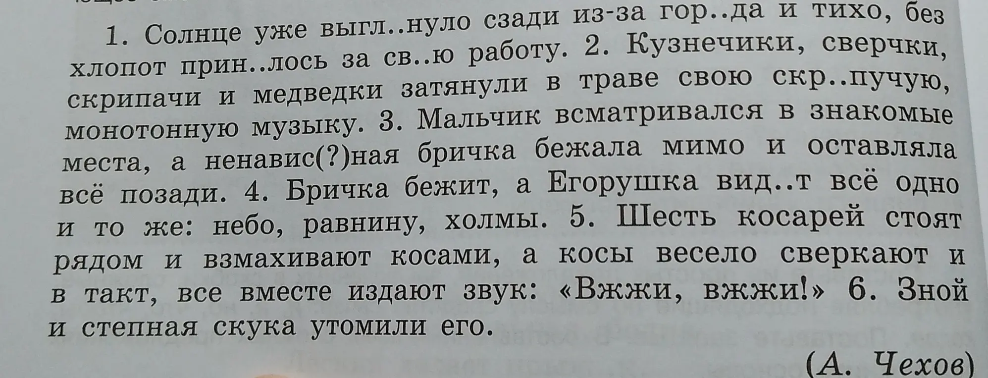 Подчеркни однородные члены предложения и укажи слово, имеющее омоним