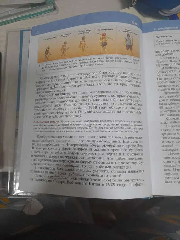 Что рассказывают мифы о происхождении человека? Какие основные этапы развития человека? Какой тип древнего человека появился каждым из указанных на типах древнего человека раньше, а какой - более развитым?