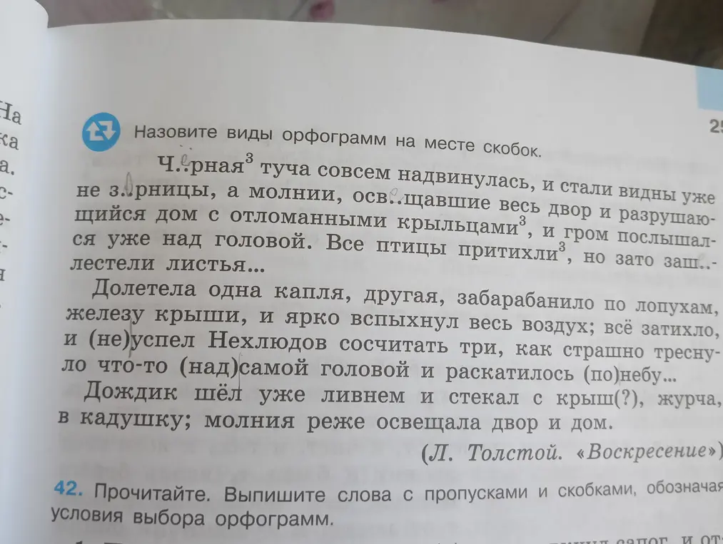 Назови виды орфограмм на месте скобок в тексте