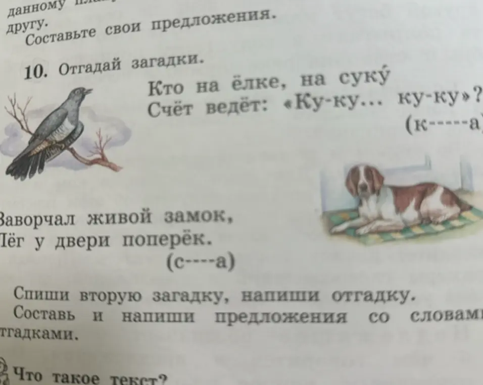 Спиши вторую загадку и напиши отгадку