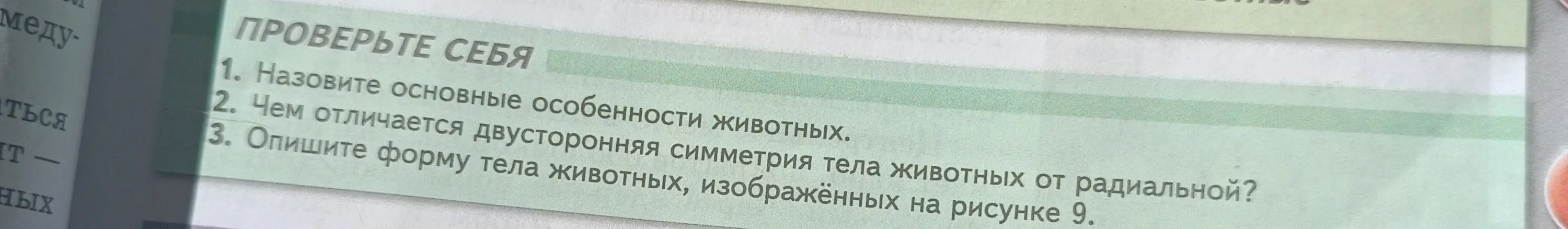 Назови основные особенности животных.