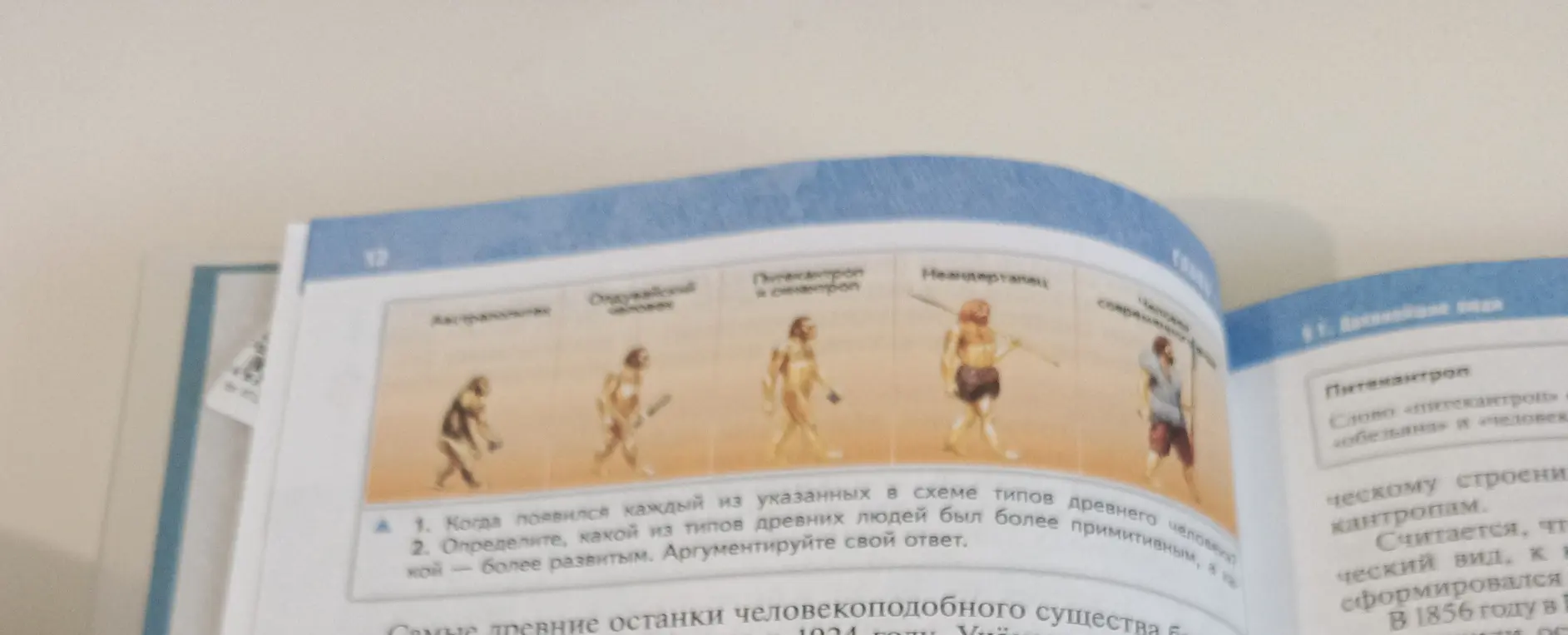 Объясни, когда появился каждый из указанных в схеме типов древнего человека и какой из типов древних людей был более примитивным.