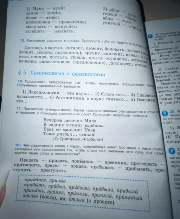 Помоги мне выполнить задания по русскому языку: 15, 16, 17, 18
