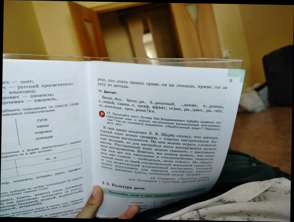 Прочитай текст и вставь пропущенные буквы в слова в упражнении 16