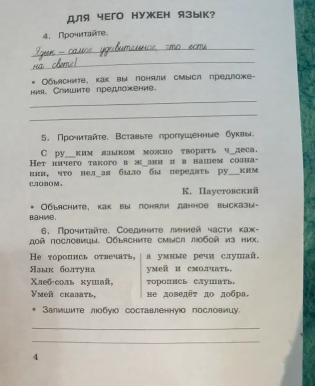 Объясни, как я понял смысл предложения "Язык - самое удивительное, что есть на свете!"