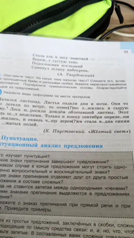 Помоги озаглавить текст, вставить пропущенные буквы, раскрыть скобки, указать нераспространённое предложение, подчеркнуть грамматические основы и охарактеризовать каждое из предложений.