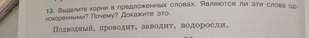 Выдели корни в словах "подводный", "проводит", "заводит", "водоросли". Являются ли эти слова однокоренными?