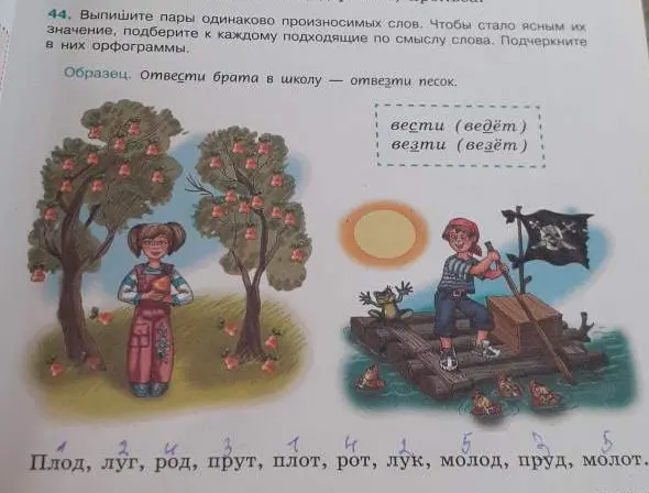 Ты просишь меня выписать пары одинаково произносимых слов из задания 44