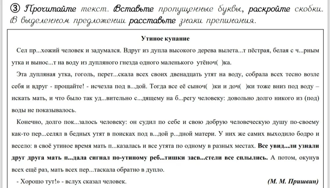 Помоги мне вставить пропущенные буквы, раскрыть скобки и расставить знаки препинания в тексте.