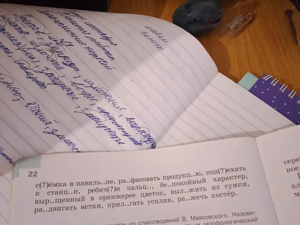 Выполни задание 22: вставь пропущенные буквы.