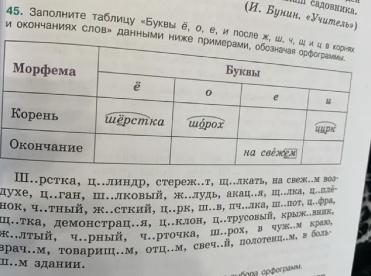 Заполни таблицу «Буквы ё, о, е, и после ж, ш, ч, щ и ц в корнях и окончаниях слов» данными ниже примерами, обозначая орфограммы