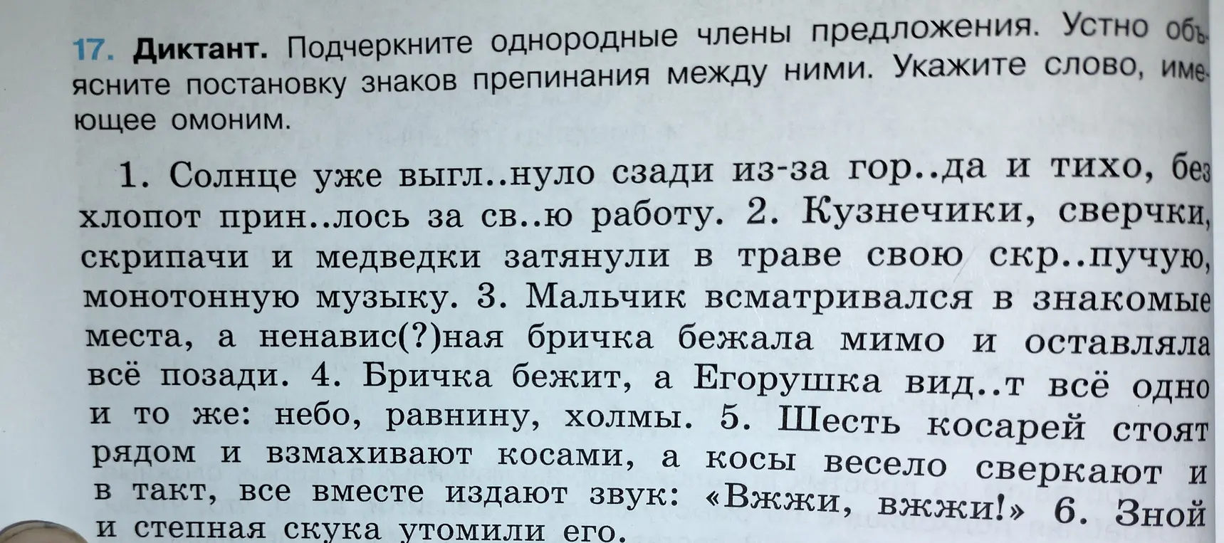 Подчеркни однородные члены предложения, устно объясни постановку знаков препинания между ними и укажи слово, имеющее омоним.