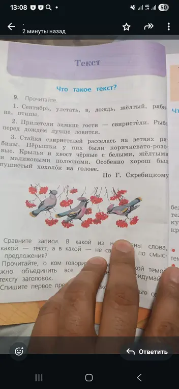 Сравни записи. В какой из них текст, а в какой - не связанные по смыслу предложения?
