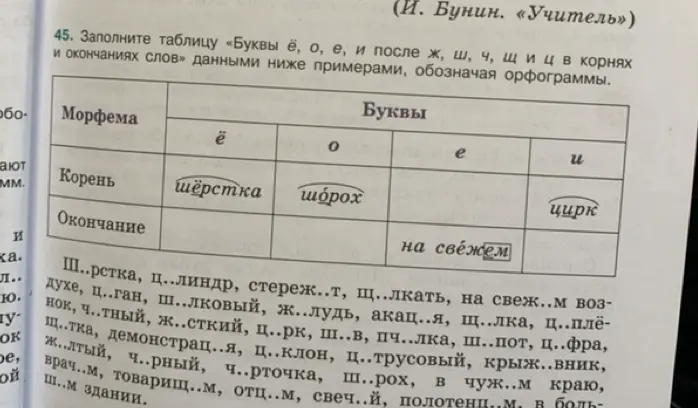 Заполни таблицу «Буквы ё, о, е, и после ж, ш, ч, щ и ц в корнях и окончаниях слов» данными ниже примерами, обозначая орфограммы.