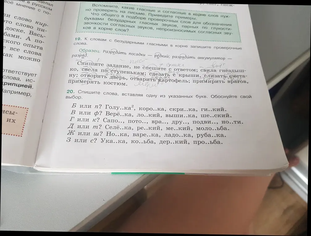 Вставь пропущенные буквы (Б или П; В или Ф; Г или К; Д или Т; Ж или Ш; З или С) в словах: Голу..ка, коро..ка, скри..ка, ги..кий и т.д.