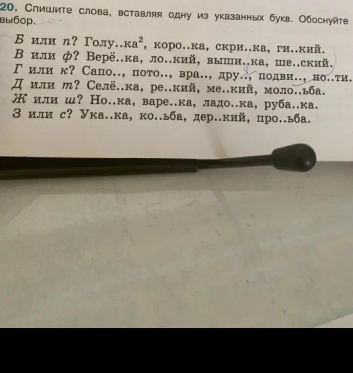 Спиши слова, вставляя букву Б или П в слово 'Голу..ка'