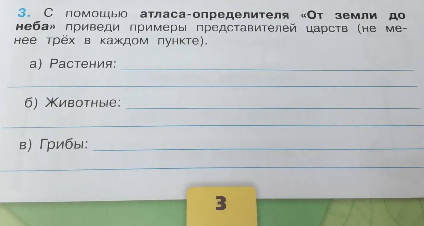 Ты просишь меня привести примеры представителей царств растений, животных и грибов.