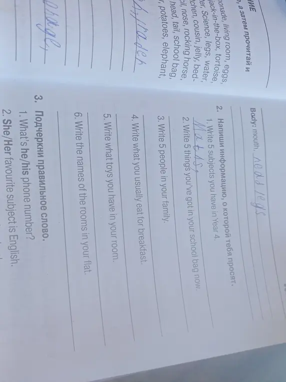 Выполни задания по английскому языку: напиши 5 предметов, которые есть в 4 классе, подчеркни правильное слово в предложениях