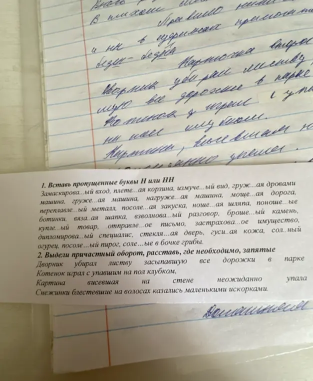 Вставь пропущенные буквы Н или НН и выдели причастный оборот, расставь, где необходимо, запятые