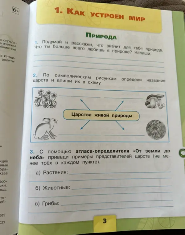 Определи названия царств и впиши их в схему.
