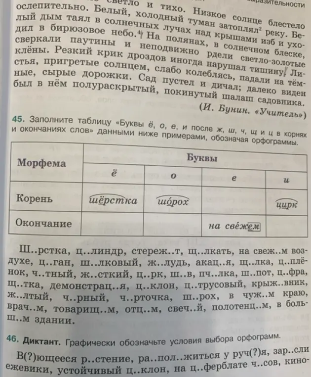 Заполни таблицу «Буквы ё, о, е, и после ж, ш, ч, щиц в корнях и окончаниях слов» данными ниже примерами, обозначая орфограммы