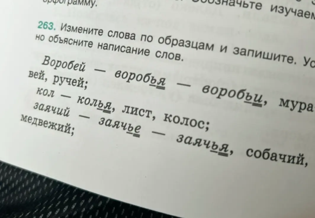 Измени слова по образцам: Воробей - воробья - воробьи, муравей, ручей