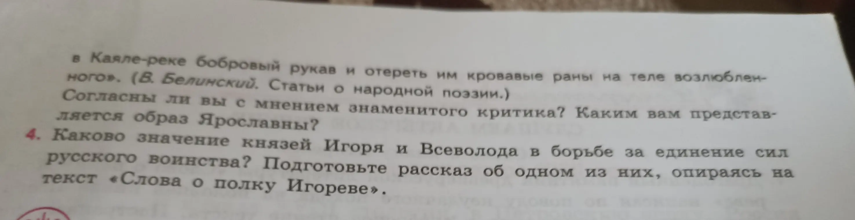 Каково значение князей Игоря и Всеволода в борьбе за единение сил русского воинства?